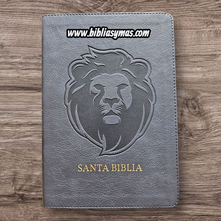 Bible RVR1960 large font size manual references simil ash skin