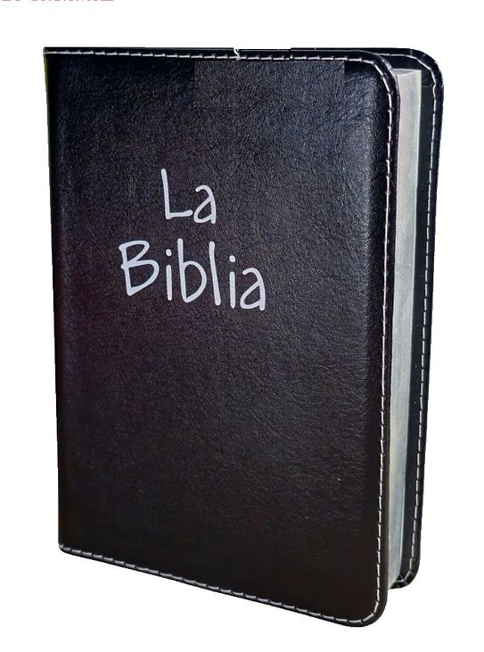 Bible Translation Current Language TLA Compact Imit. Black Skin Letter 10 Points