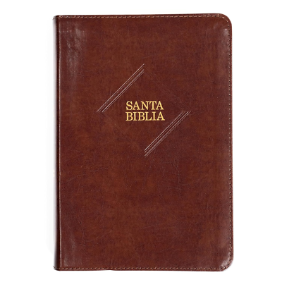 Bible RVR1960 large font size manual references imitacion cafe