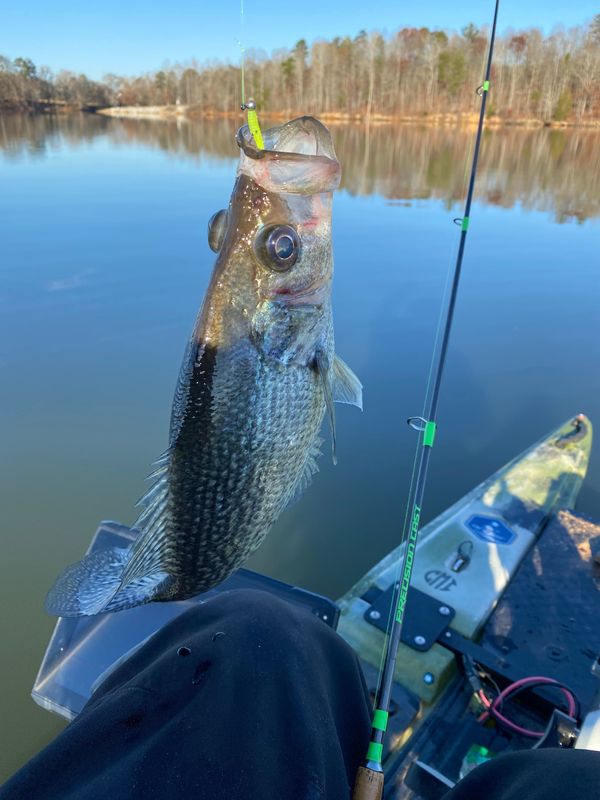 CMI Soft Plastic Crappie Jigs (1in to 1-7/8in)