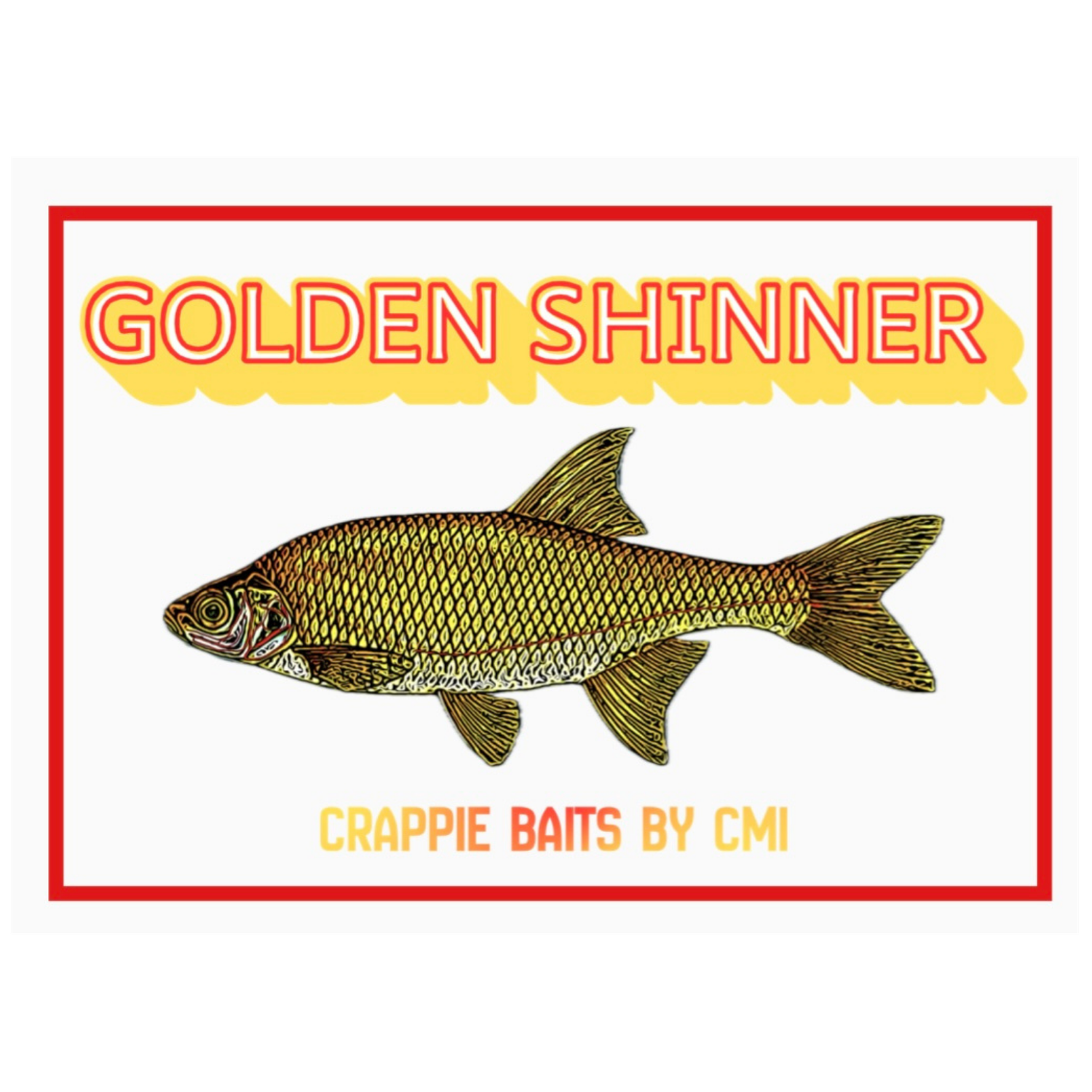 Golden Shinner Baby Shad