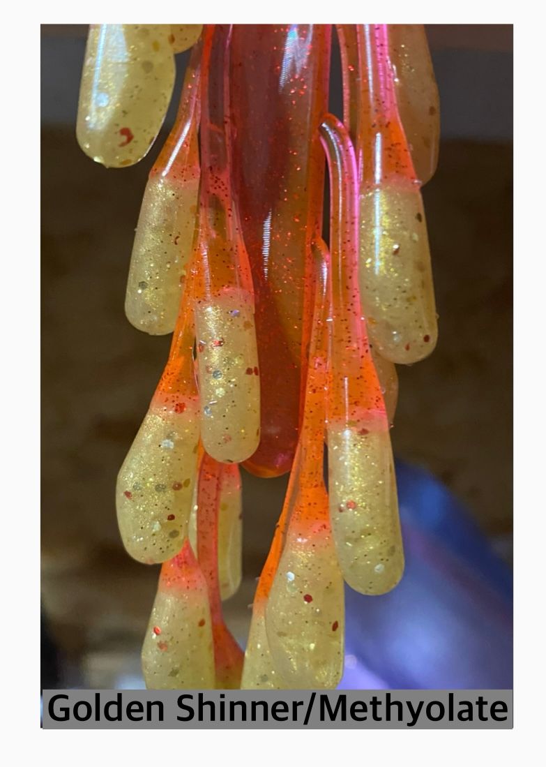 Golden Shinner/methyolate tails