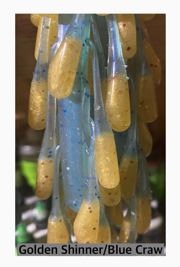 Golden Shinner/Blue Craw