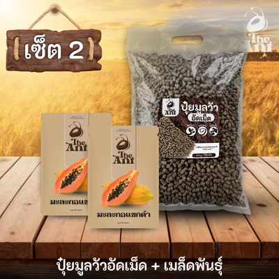 ชุดปุ๋ยและเมล็ดพันธุ์ ประเภทมะละกอ