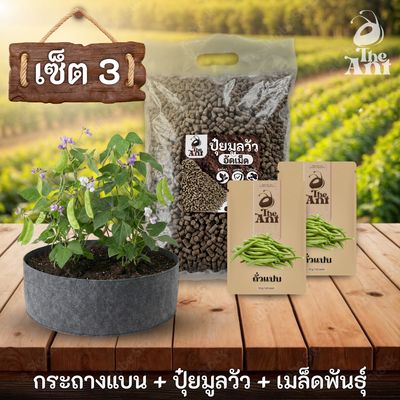 ชุดกระถาง ปุ๋ย และเมล็ดพันธุ์ ประเภทถั่ว