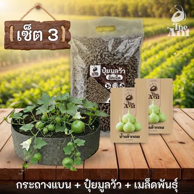 ชุดกระถาง ปุ๋ย และเมล็ดพันธุ์ ประเภทไม้เลื้อย