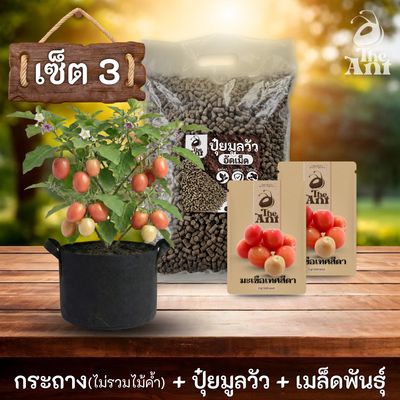 ชุดกระถาง ปุ๋ย และเมล็ดพันธุ์ ประเภทยืนต้น