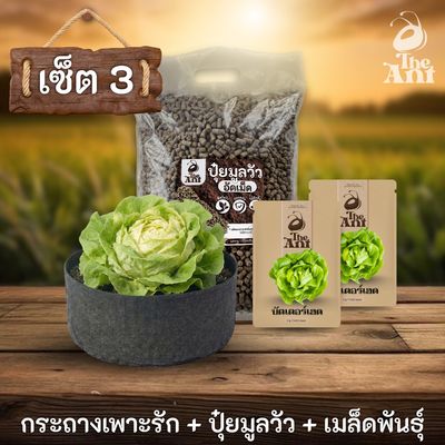 ชุดกระถาง ปุ๋ย และเมล็ดพันธุ์ ประเภทกินใบ