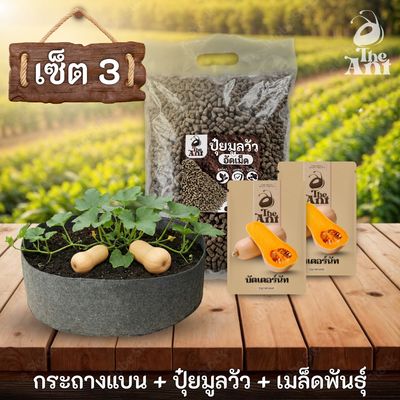 ชุดกระถาง ปุ๋ย และเมล็ดพันธุ์