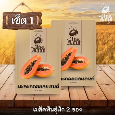 ชุดเมล็ดพันธุ์พืช ประเภทมะละกอ