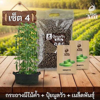 ชุดกระถางไม้ค้ำ ปุ๋ย และเมล็ดพันธุ์