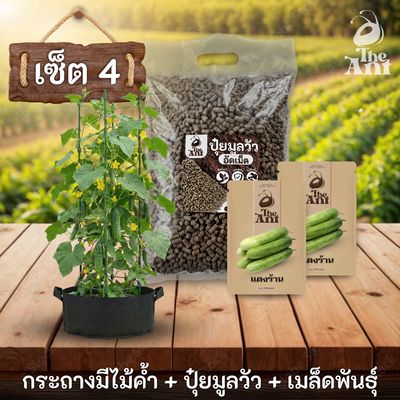 ชุดกระถางไม้ค้ำ ปุ๋ย และเมล็ดพันธุ์ ประเภทไม้เลื้อย