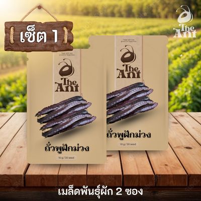 ( ซื้อ 1 แถม 1 ) เมล็ดพันธุ์ถั่วพูฝักม่วง
