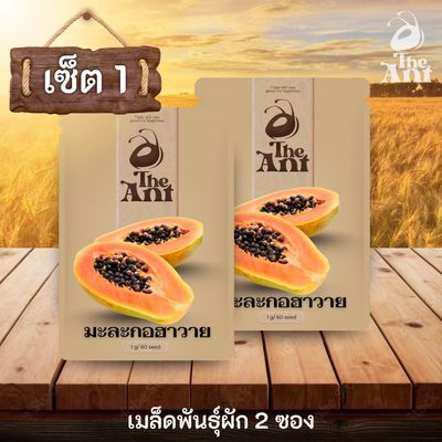 ( ซื้อ 1 แถม 1 ) เมล็ดพันธุ์มะละกอฮาวาย