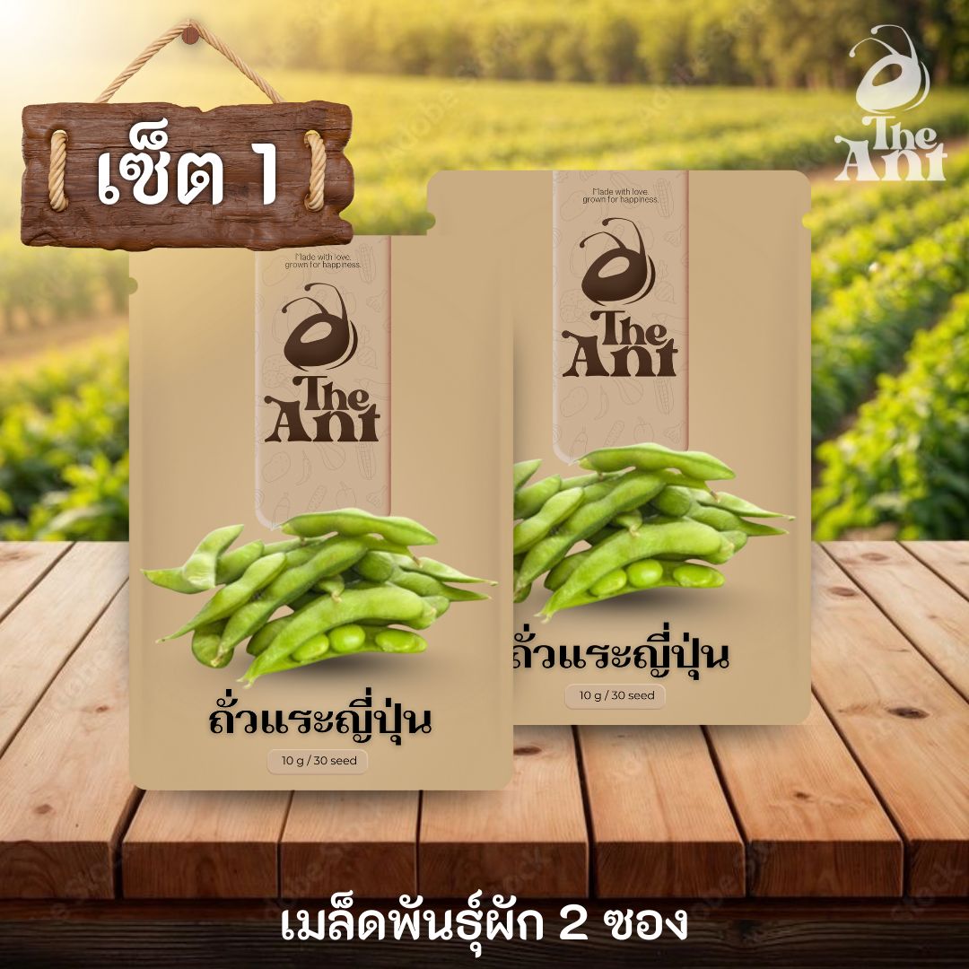 ( ซื้อ 1 แถม 1 ) เมล็ดพันธุ์ถั่วแระญี่ปุ่น
