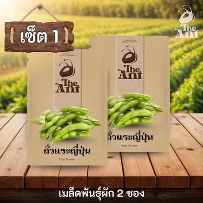 ( ซื้อ 1 แถม 1 ) เมล็ดพันธุ์ถั่วแระญี่ปุ่น