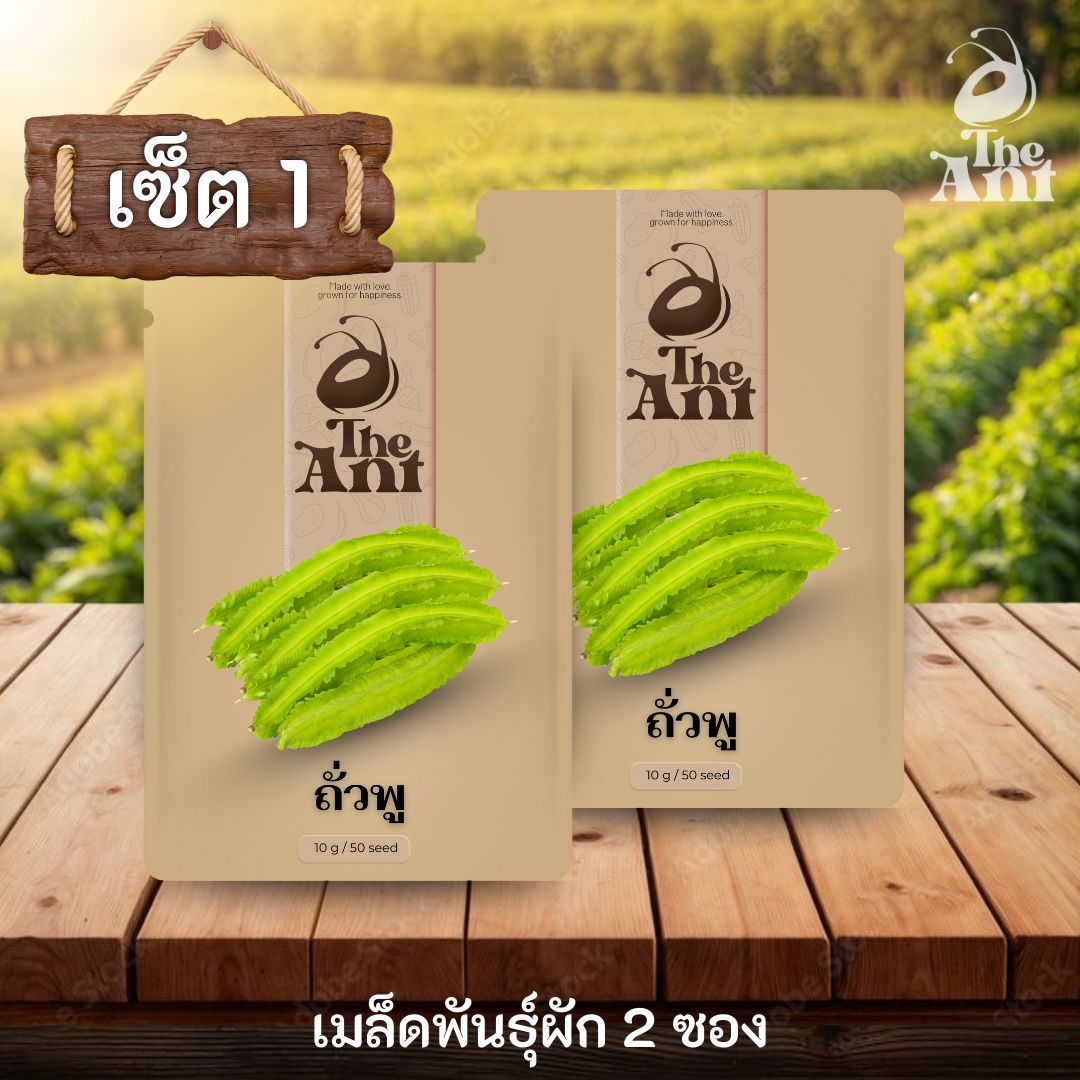 ( ซื้อ 1 แถม 1 ) เมล็ดพันธุ์ถั่วพู