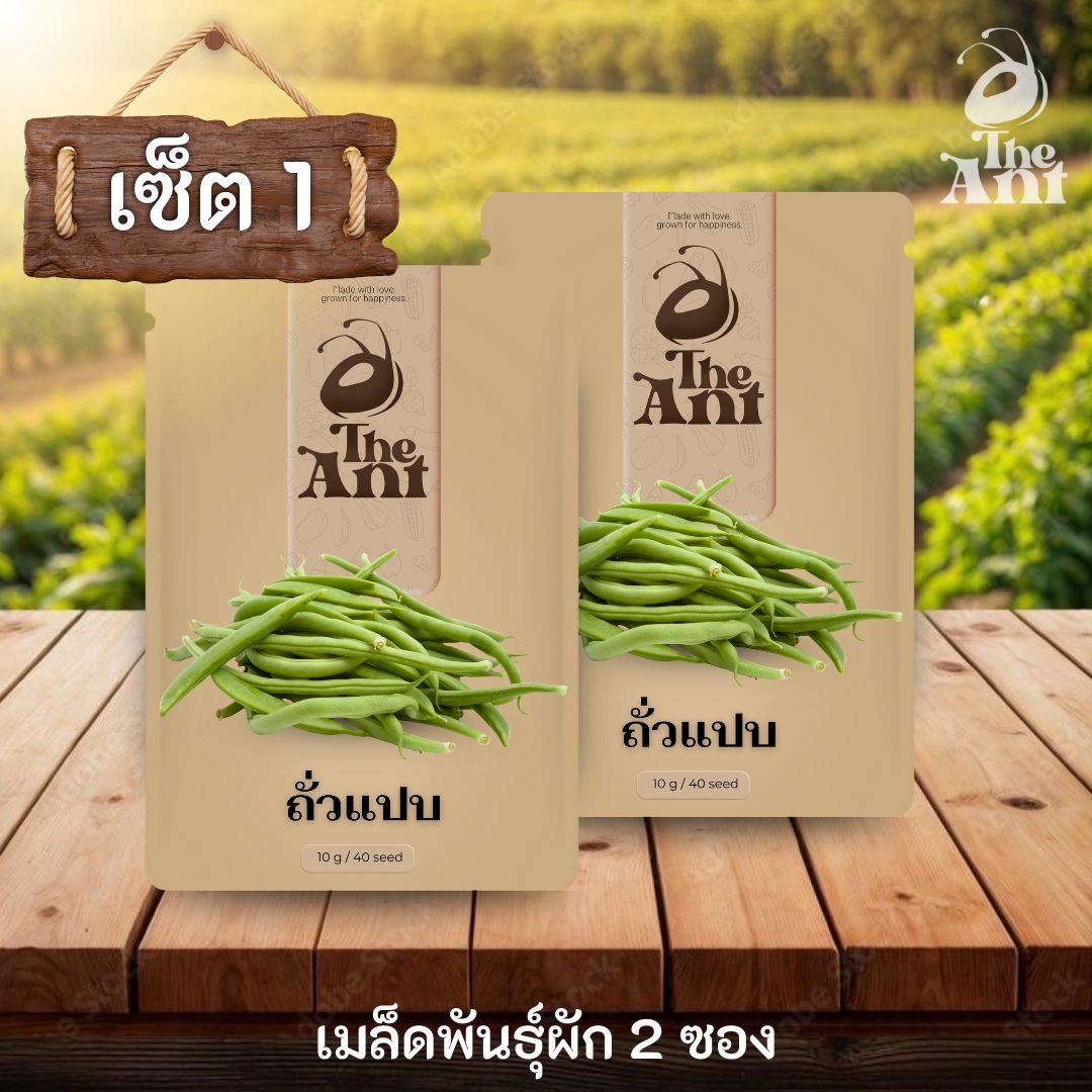 ( ซื้อ 1 แถม 1 ) เมล็ดพันธุ์ถั่วแปบ