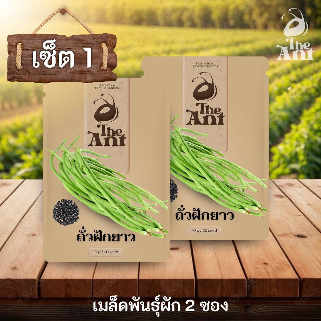 ( ซื้อ 1 แถม 1 ) เมล็ดพันธุ์ถั่วฝักยาว