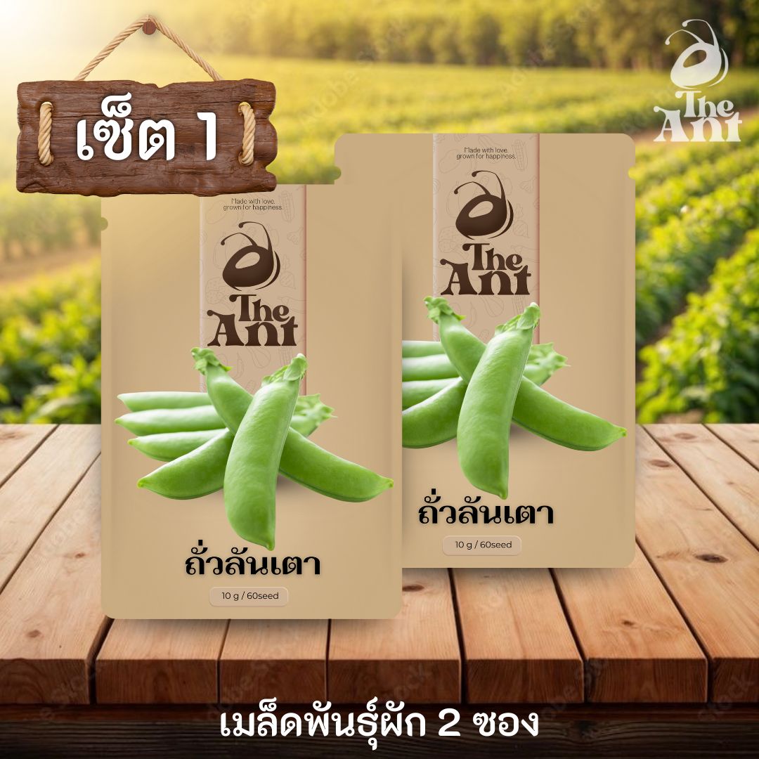 ( ซื้อ 1 แถม 1 ) เมล็ดพันธุ์ถั่วลันเตา