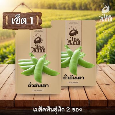 ( ซื้อ 1 แถม 1 ) เมล็ดพันธุ์ถั่วลันเตา