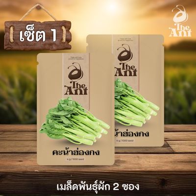 ( ซื้อ 1 แถม 1 ) เมล็ดพันธุ์คะน้าฮ่องกง