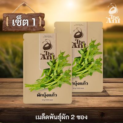 ( ซื้อ 1 แถม 1 ) เมล็ดพันธุ์ผักบุ้งแก้ว