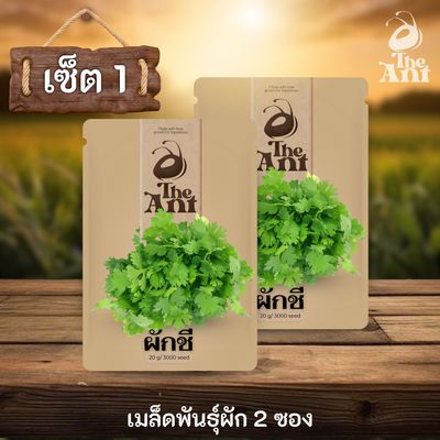 ( ซื้อ 1 แถม 1 ) เมล็ดพันธุ์ผักชี