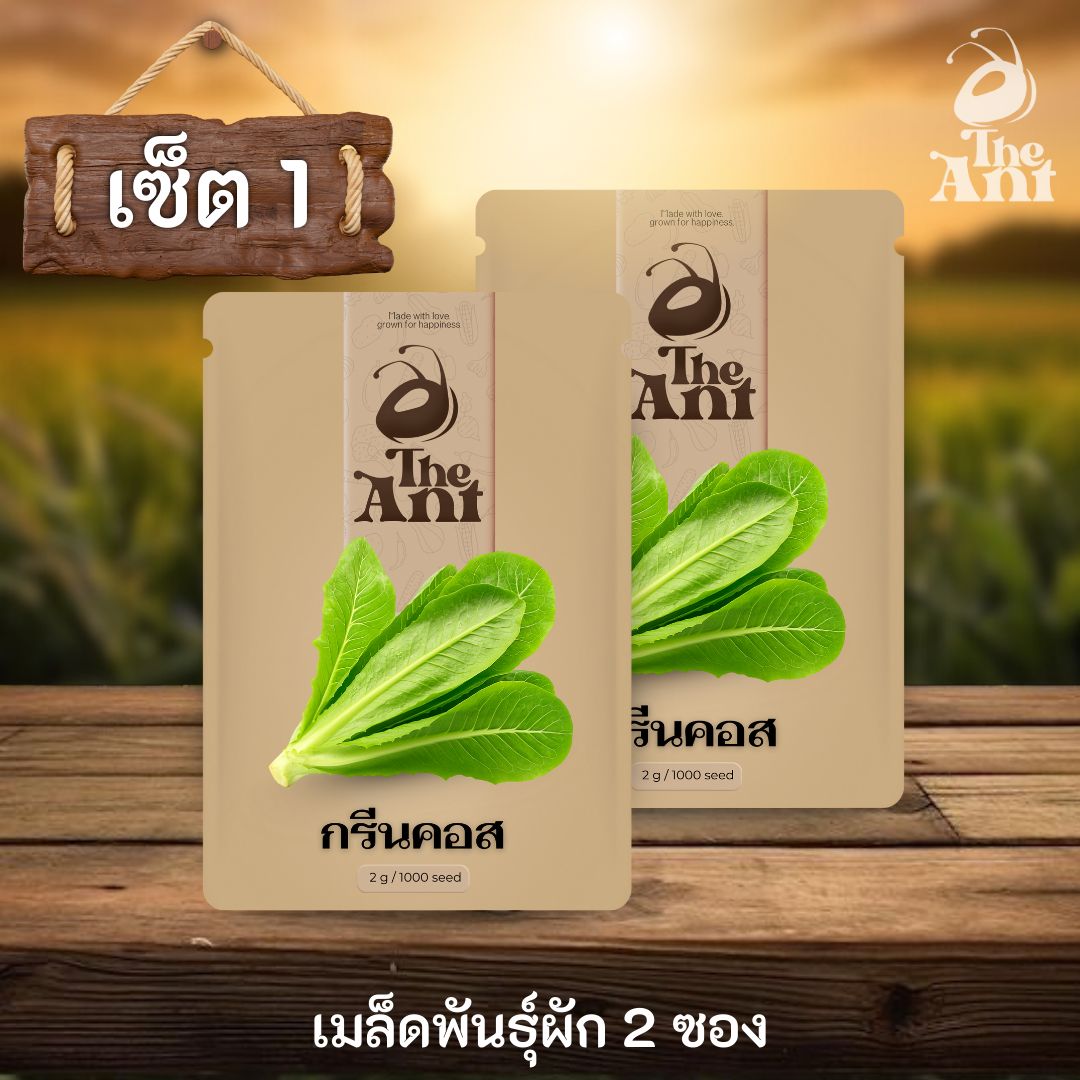 ( ซื้อ 1 แถม 1 ) เมล็ดพันธุ์กรีนคอส
