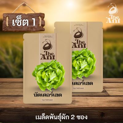 ( ซื้อ 1 แถม 1 ) เมล็ดพันธุ์บัตเตอร์เฮด