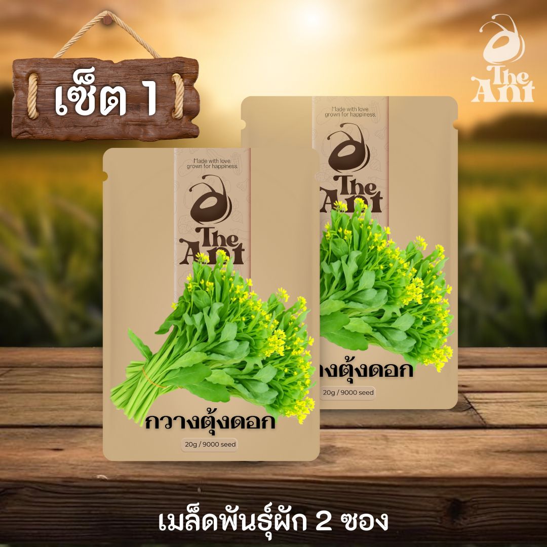 ( ซื้อ 1 แถม 1 ) เมล็ดพันธุ์กวางตุ้งดอก