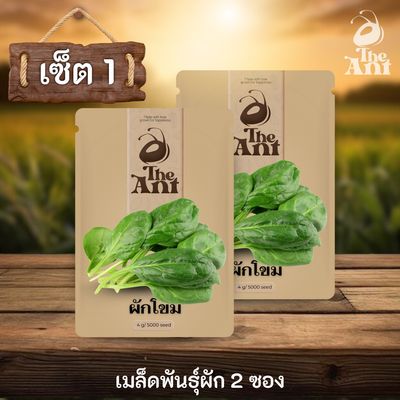 ( ซื้อ 1 แถม 1 ) เมล็ดพันธุ์ผักโขม