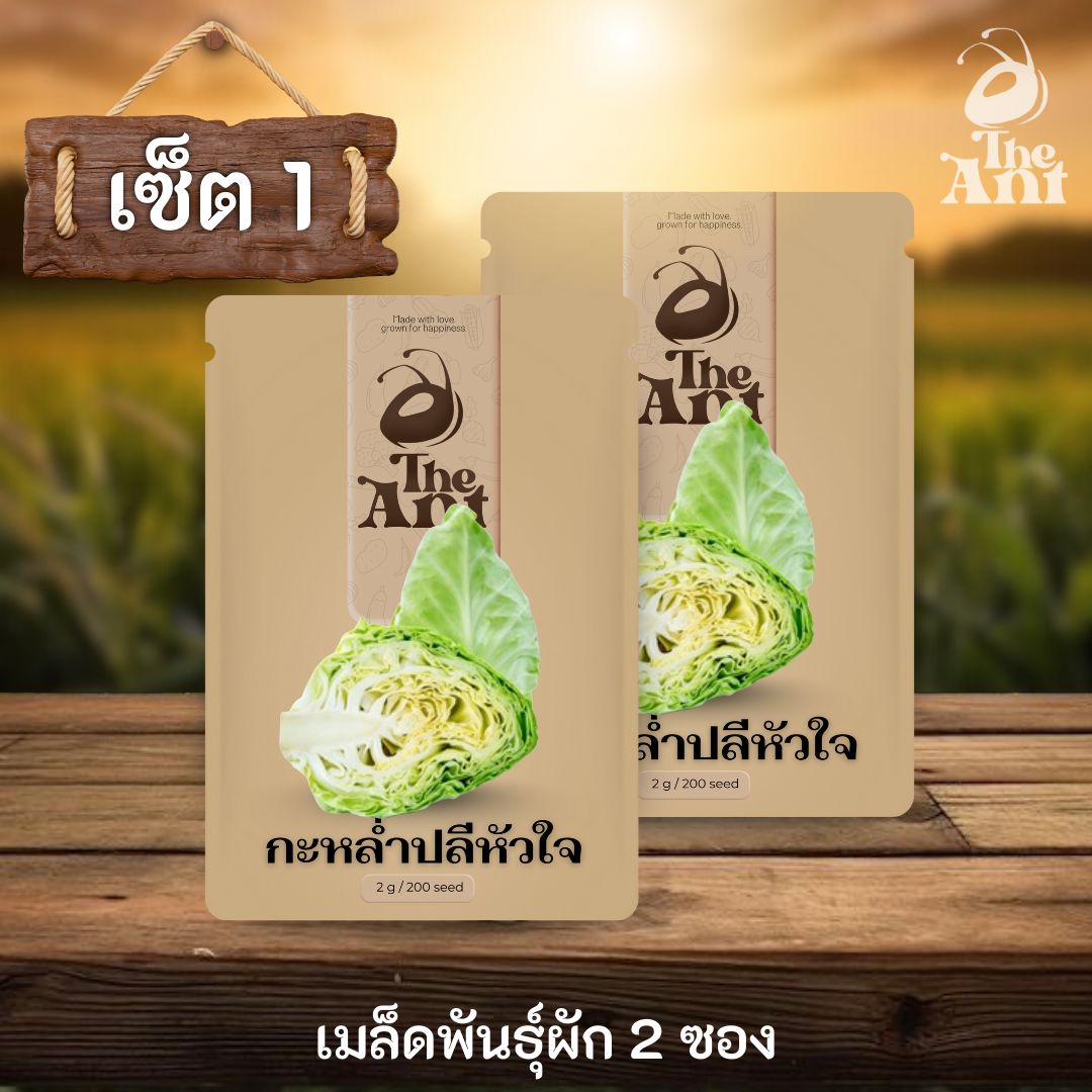 ( ซื้อ 1 แถม 1 ) เมล็ดพันธุ์กะหล่ำปลีหัวใจ