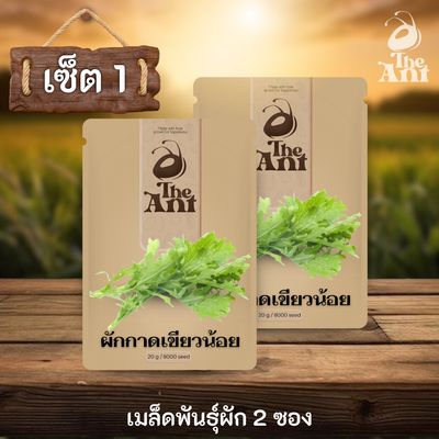 ( ซื้อ 1 แถม 1 ) เมล็ดพันธุ์ผักกาดเขียวน้อย