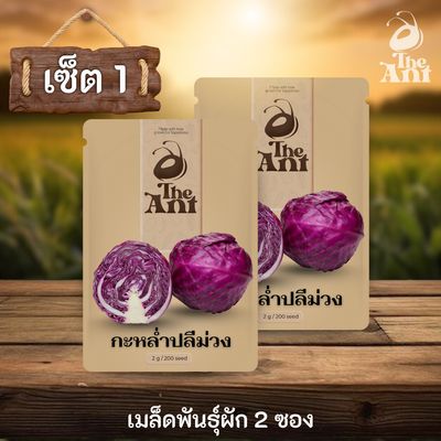 ( ซื้อ 1 แถม 1 ) เมล็ดพันธุ์กะหล่ำปลีม่วง