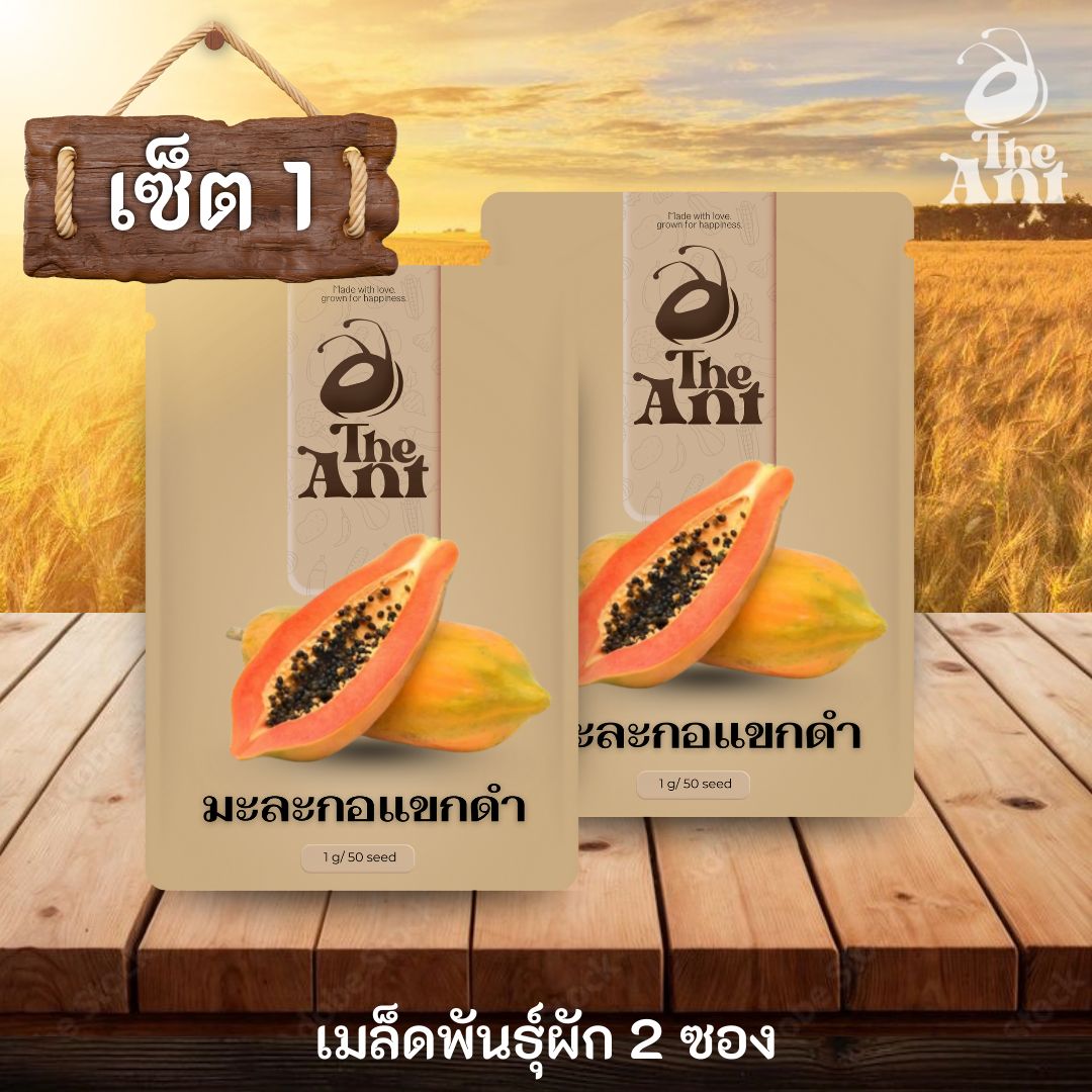 ( ซื้อ 1 แถม 1 ) เมล็ดพันธุ์มะละกอแขกดำ