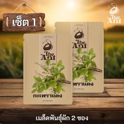 ( ซื้อ 1 แถม 1 ) เมล็ดพันธุ์กะเพราแดง