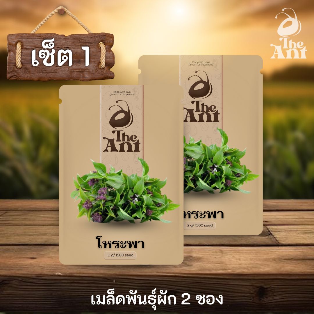 ( ซื้อ 1 แถม 1 ) เมล็ดพันธุ์โหระพา