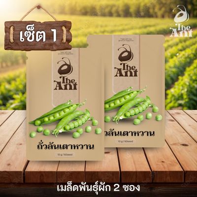 ( ซื้อ 1 แถม 1 ) เมล็ดพันธุ์ถั่วลันเตาหวาน