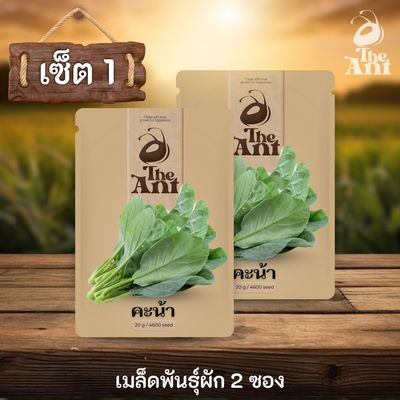 ( ซื้อ 1 แถม 1 ) เมล็ดพันธุ์คะน้า