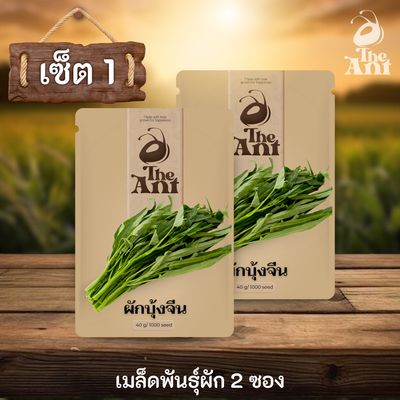 ( ซื้อ 1 แถม 1 ) เมล็ดพันธุ์ผักบุ้งจีน
