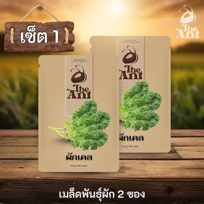 ( ซื้อ 1 แถม 1 ) เมล็ดพันธุ์ผักเคล