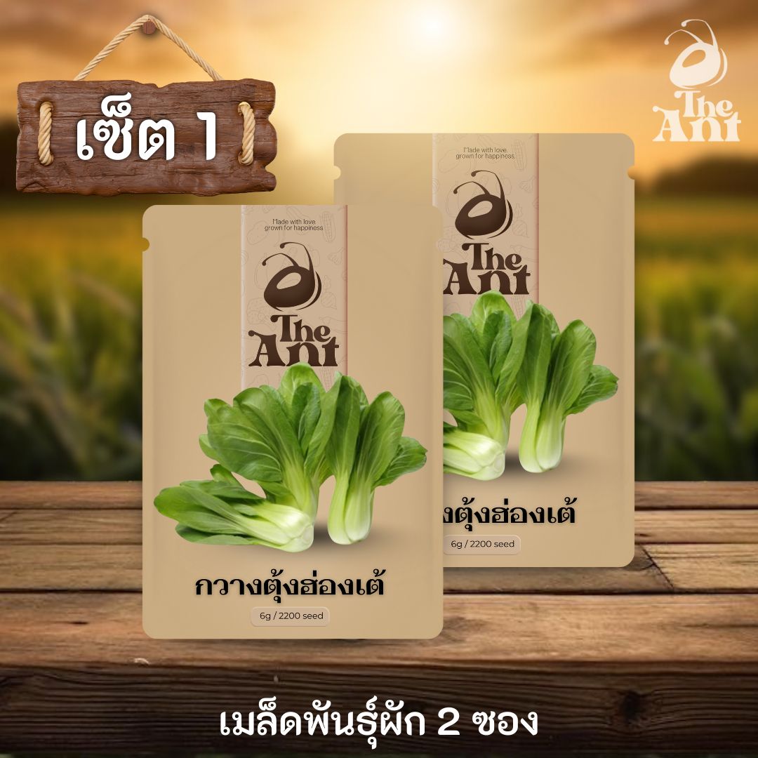 ( ซื้อ 1 แถม 1 ) เมล็ดพันธุ์กวางตุ้งฮ่องเต้