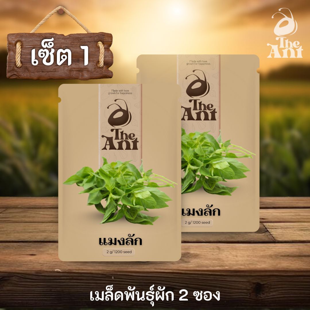( ซื้อ 1 แถม 1 ) เมล็ดพันธุ์แมงลัก