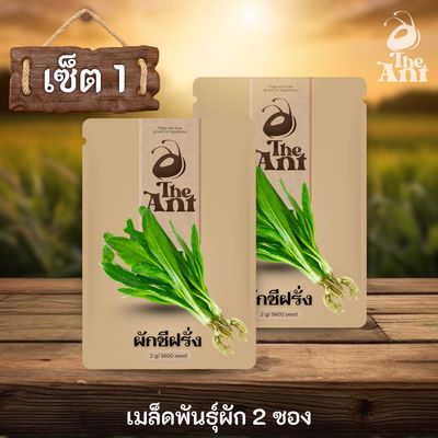 ( ซื้อ 1 แถม 1 ) เมล็ดพันธุ์ผักชีฝรั่ง