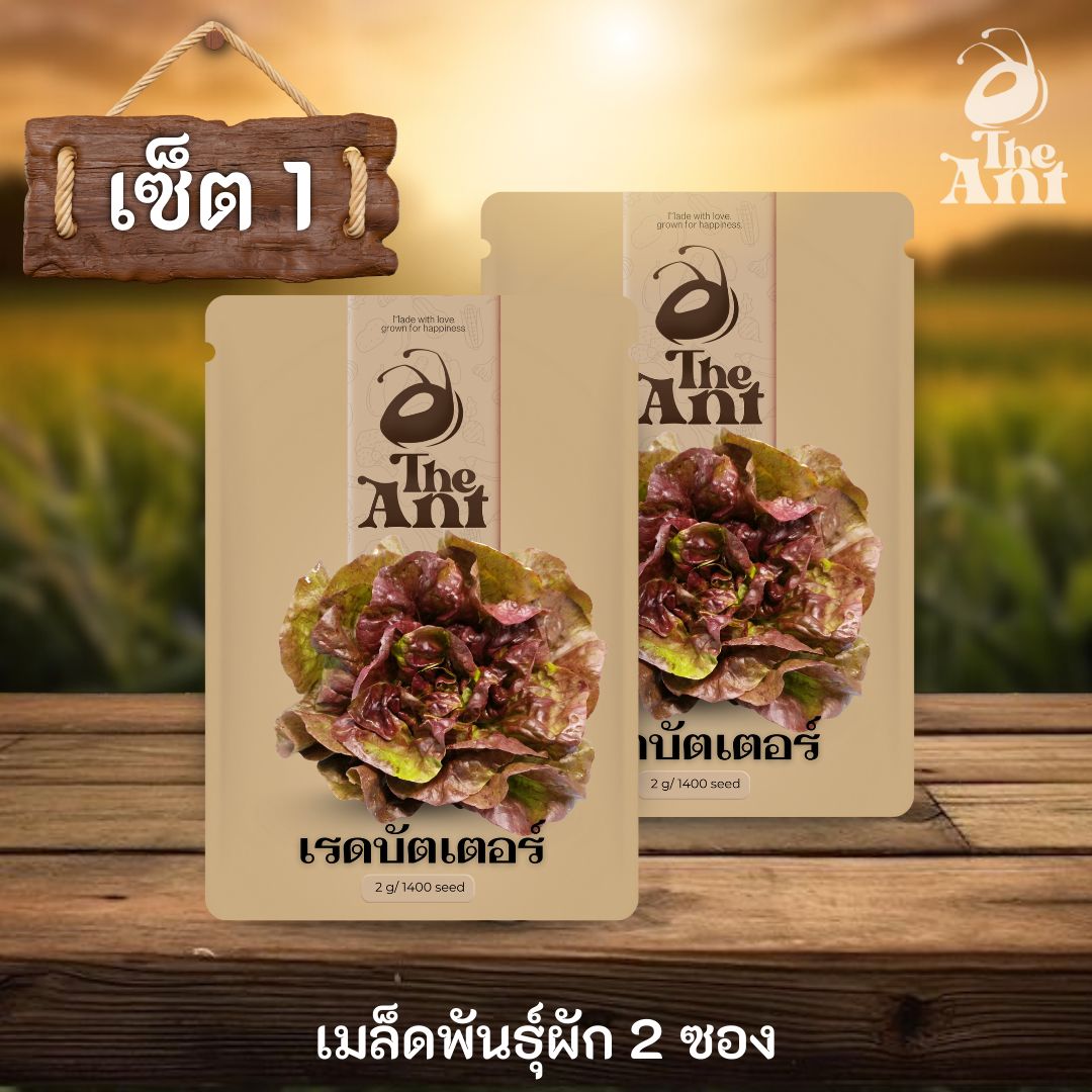 ( ซื้อ 1 แถม 1 ) เมล็ดพันธุ์เรดบัตเตอร์