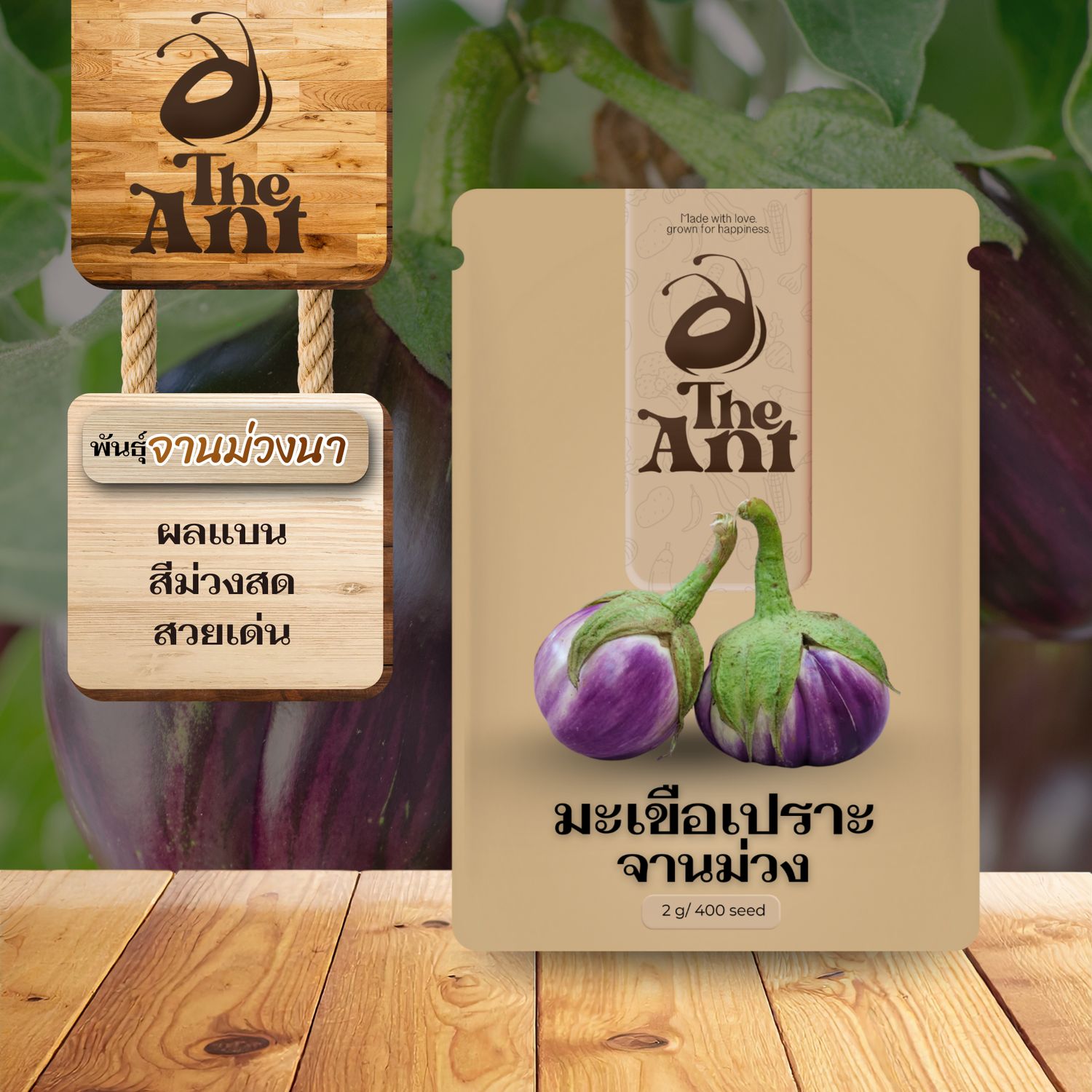 เมล็ดพันธุ์มะเขือเปราะจานม่วง