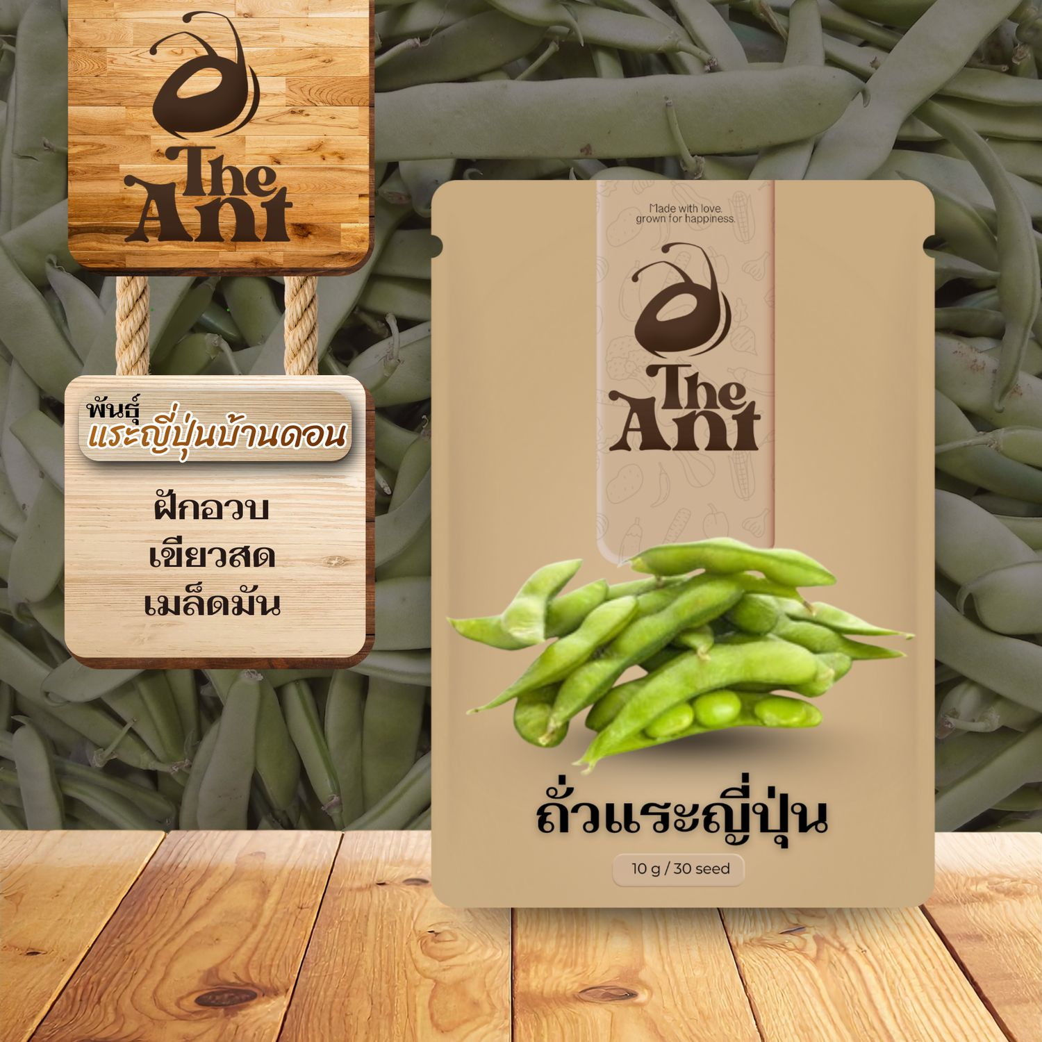 เมล็ดพันธุ์ถั่วแระญี่ปุ่น แระญี่ปุ่นบ้านดอน