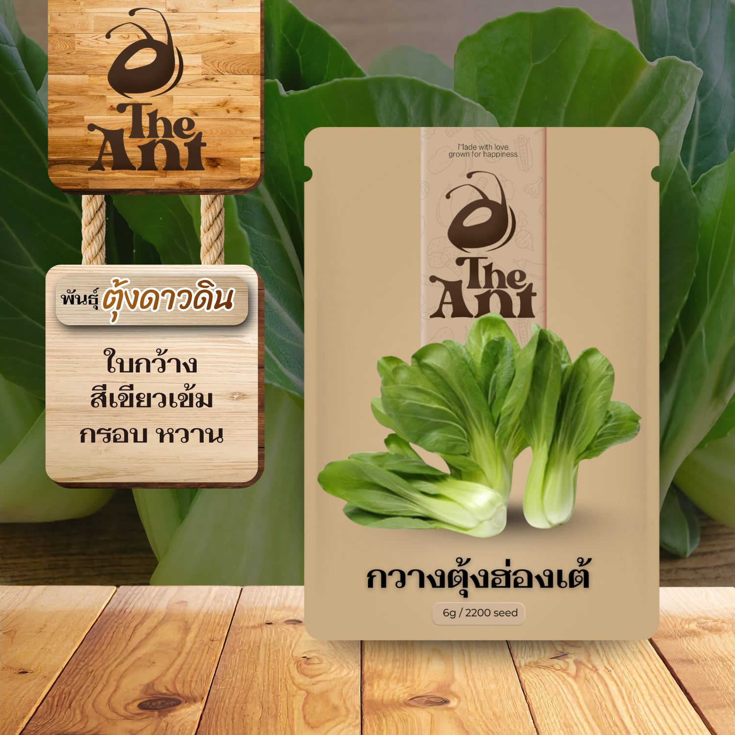 เมล็ดพันธุ์กวางตุ้งฮ่องเต้