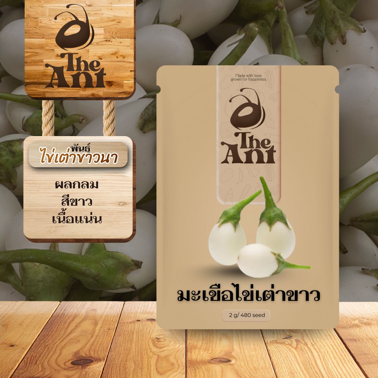 เมล็ดพันธุ์มะเขือไข่เต่าขาว ไข่เต่าขาวนา